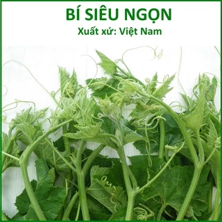 Hạt Giống Bí Ăn Ngọn - Siêu Đọt (50g)