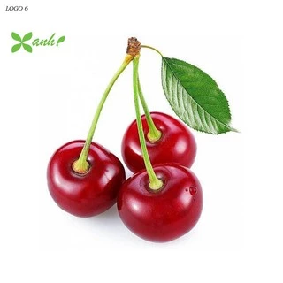 Hạt giống Anh đào (Cherry) (10 hạt)