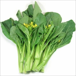 20Gr Hạt Giống Cải Ngọt Ăn Bông (A2.403| G7*W55*M036) (Brassica juncea)