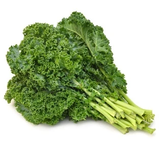 Hạt Giống Cải Xoăn (Cải Kale) Rado 686 Rạng Đông Dễ Trồng Kháng Bệnh Tốt - Gói 5g (HRD-044)