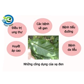 Xạ đen Hòa Bình (cả cành nhỏ và lá) giúp thải độc, thanh nhiệt, mát gan, ổn định huyết áp  [500g - 1kg]