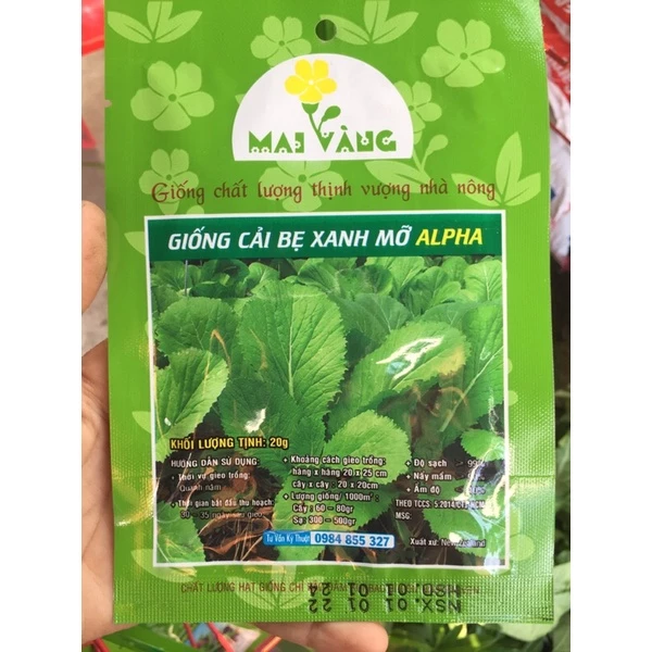 Hạt giống cải bẹ xanh