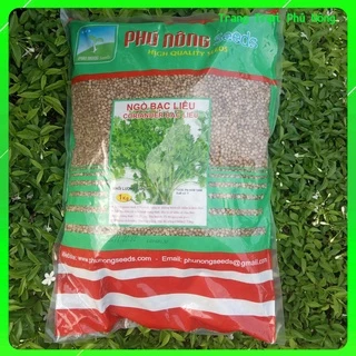 Hạt giống Ngò Bạc Liêu Phú Nông- Gói Lớn 1kg