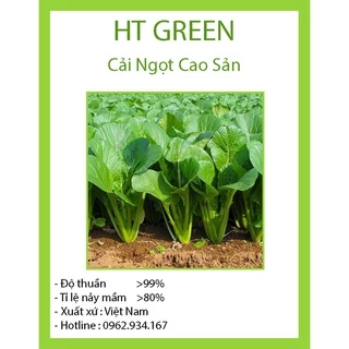 Hạt giống Cải Ngọt TXBTD