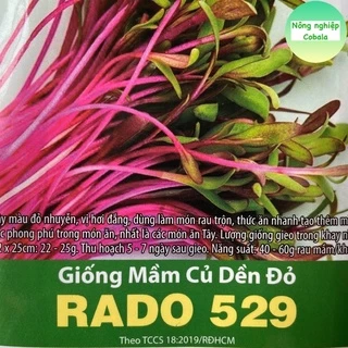 Hạt Giống Mầm Củ Dền Đỏ (RD529) 10gr