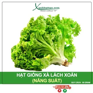 Hạt Giống Xà Lách Xoăn Sư Tử Hạt Đen Phú Nông Gói 5 Gram