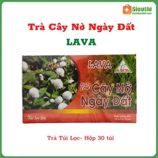 Trà Cây Nở Ngày Đất Túi Lọc, Hỗ Trợ Bệnh Gout, Xương Khớp