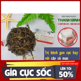 Cây cỏ mực khô / cây nhọ nồi 500Gr - Thảo Dược Thanh Bình - Dược Liệu Thanh Bình