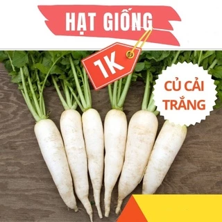 Hạt giống củ cải trắng cao sản 80 hạt siêu ngọn ngon giòn ngọt - rau củ quả trồng chậu, sân vườn ban công RADO