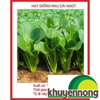 Hạt giống rau cải ngọt 2000 hạt