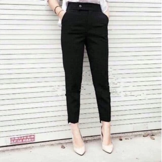 Quần baggy vải gấu lệch- có bigsize 7XL (82kg)