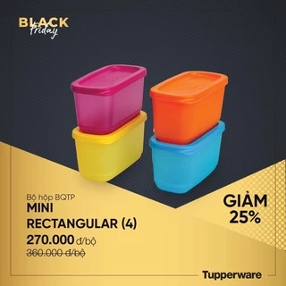 Bộ hộp Mini Rectangular 250ML (4 hộp) TUPPERWARE