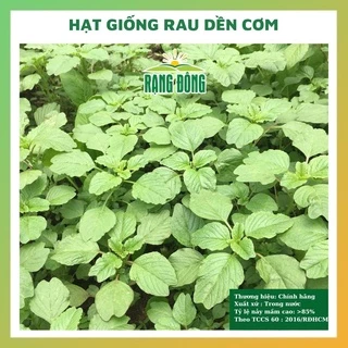 Hạt giống rau dền cơm - rau củ quả chịu nhiệt 4 mùa tỉ lệ nảy mầm cao 10g RADO 086