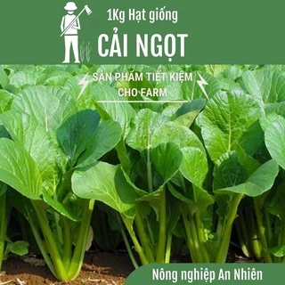 [SIÊU TIẾT KIỆM] 1KG Hạt giống CẢI NGỌT CỌNG XANH - Gói dành cho Farm