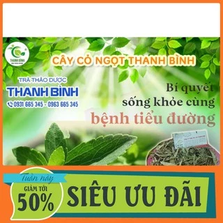 Cây Cỏ Ngọt 500g - Loại Cao Cấp - Cây Thuốc Nam Thanh Bình