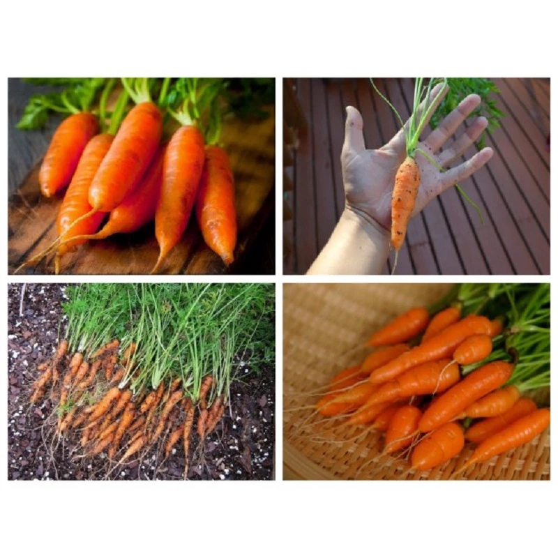 477bddc00c5fa2b2eb83d71ff1651ffa