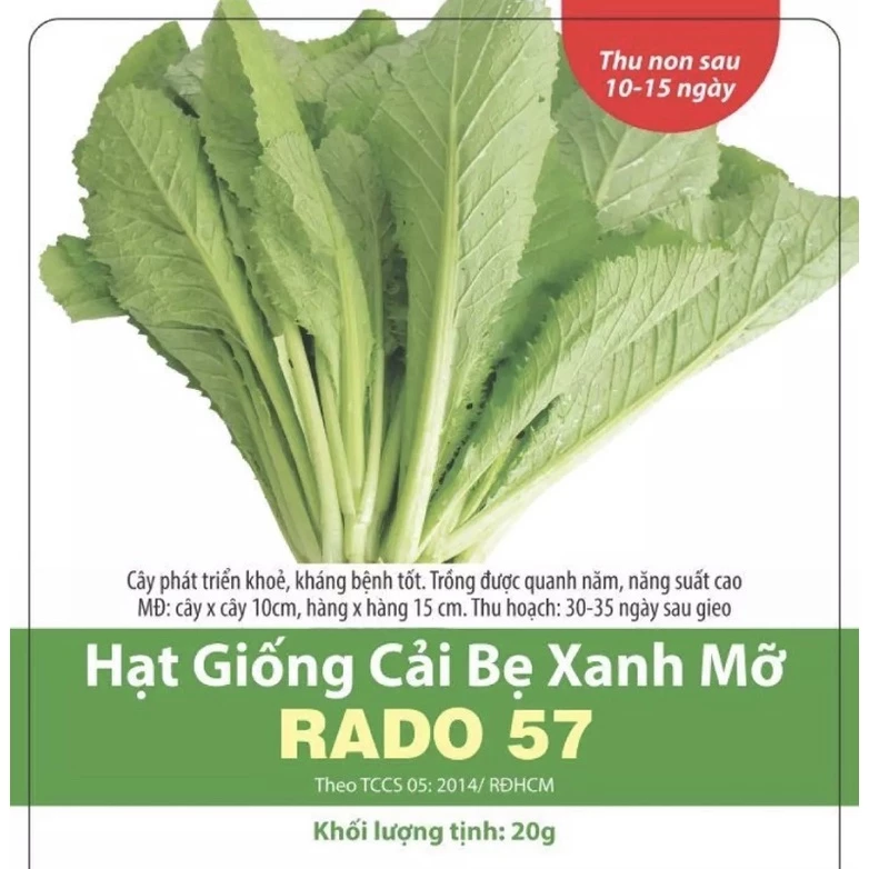 Hạt giống cải bẹ xanh