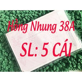 SÉT 5 CÁI: BAO NHỰA BỌC SỔ HỒNG, GIẤY TỜ NHÀ ĐẤT