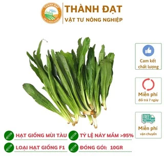 Hạt gống Ngò gai, Hạt giống mùi tàu gói 10gr