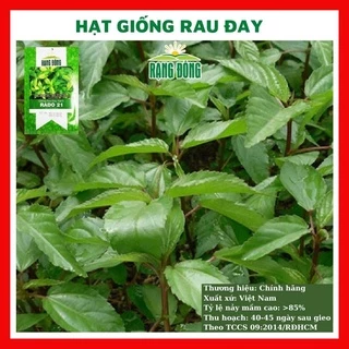 Hạt giống rau đay xanh - rau củ quả trồng chậu, sân vườn ban công ngon giòn ngọt nảy mầm cao 10gr RADO 21