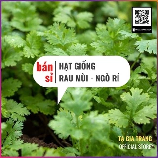 [Bán sỉ] - Hạt giống rau mùi (rau ngò rí - mùi tía - ngò hạt nhỏ)