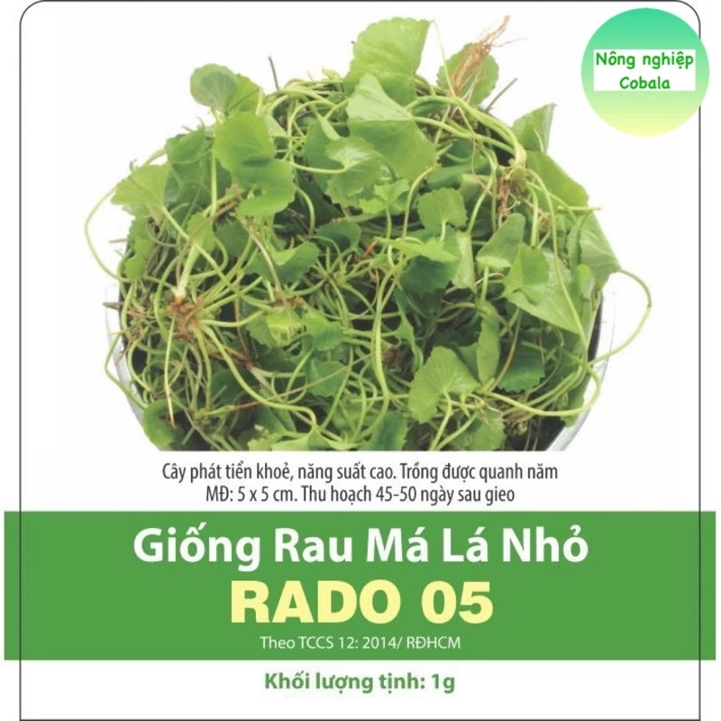 Hạt Giống Rau Má Lá Nhỏ Dễ Trồng, Năng Suất Cao 1gr