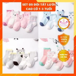 Set 5 tất lưới hè thu cao cấp cổ cao cho bé