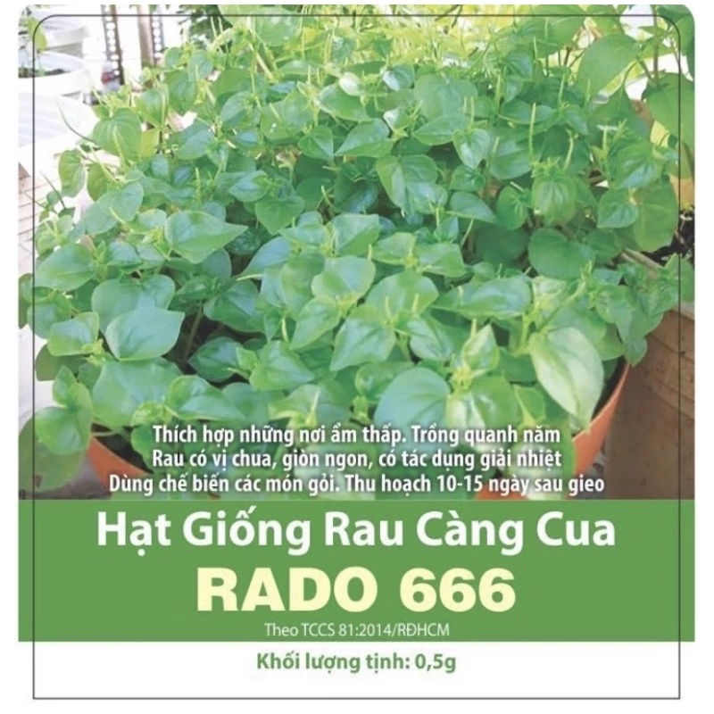 Hạt giống rau càng cua Rạng đông