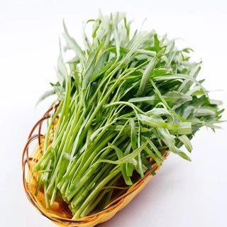 Hạt giống rau muống lá tre Thái Lan cao sản (gói 50gram)