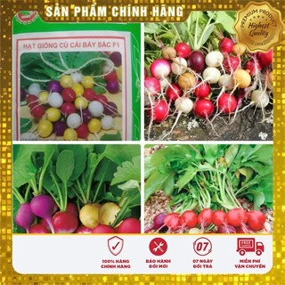 Hạt giống Củ cải Bảy sắc Cầu Vồng ( gói 05 Gram )