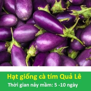 Hạt giống cà tím Quả Lê gói 2gr