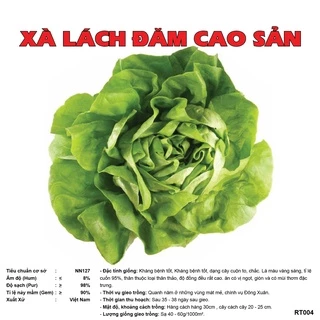 Hạt Giống Xà Lách Đăm (Xà Lách Cuộn) xanh gói 5 gram, tỉ lệ nảy mầm cao, chịu nhiệt tốt, dễ chăm sóc RT004