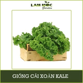 Hạt Giống Cải Kale - Cải Xoăn Gói 2g