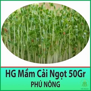 Hạt Giống Cải Mầm Phú Nông 50Gr - Hạt Giống Cải Mầm Dinh Dưỡng Cao