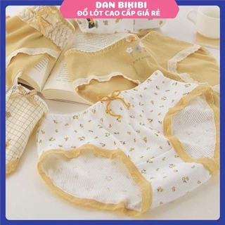 QUẦN LÓT NỮ ❤️FREESHIP❤️Quần lót cotton gân tăm cao cấp set tông vàng dễ thương mẫu 1315