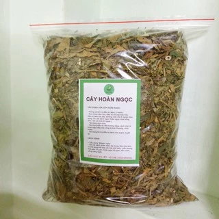 Cây hoàn ngọc (cây xuân hoa) [1KG]