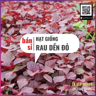 [Bán sỉ] - Hạt giống rau dền đỏ lá tròn