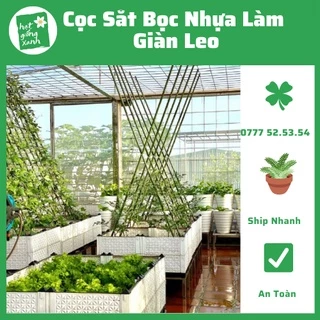 Cọc Sắt Thép Bọc Nhựa pi8, pi11, pi16, pi20 làm giàn cho cây leo