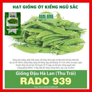 Hạt giống đậu Hà Lan (ăn trái) năng suất cao - rau củ quả trồng chậu, sân vườn ban công ngon giòn ngọt 20 gr RADO 939