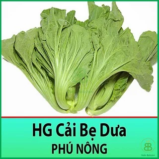 Hạt Giống Cải Bẹ Dưa Cao Sản 10Gr Siêu Giòn