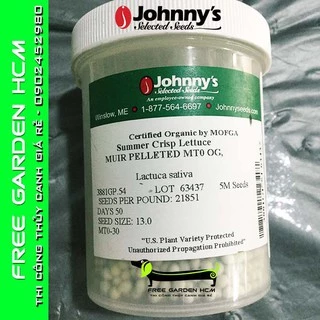 COMBO 1000 HẠT GIỐNG XÀ LÁCH MUIR – Johnny’s Seed – Mỹ