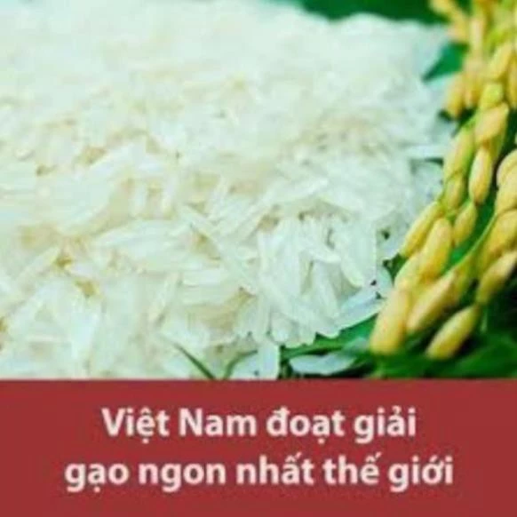 Gạo ST25 - Gạo Ngon Nhất Thế Giới