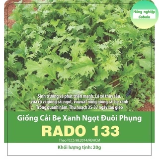 Hạt Giống Cải Ngọt Đuôi Phụng 20gr