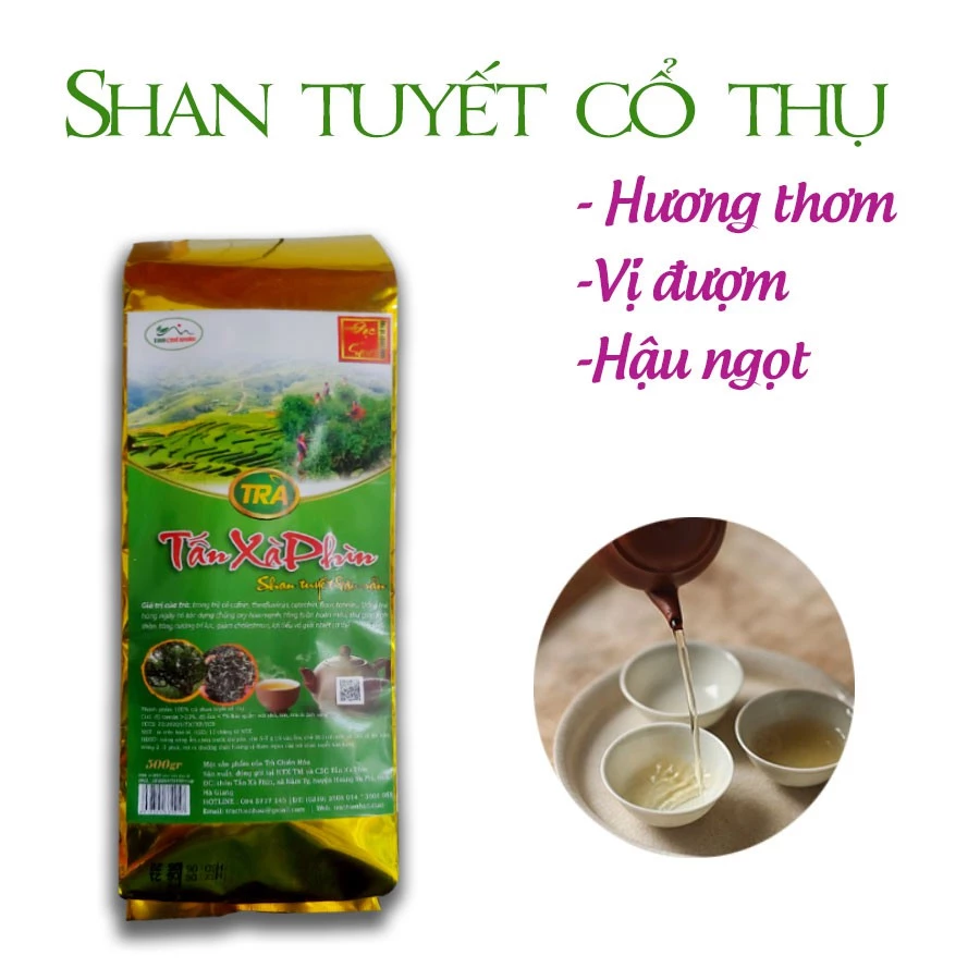 Trà shan tuyết cổ thụ Tấn Xà Phìn - gói vàng 500g. Sản xuất từ trà cổ thụ trên 200 năm tuổi. Trà Chiến Hảo