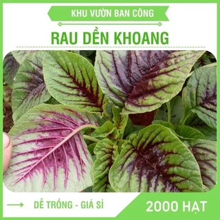 Hạt Giống Rau Dền Khoang ( Dền Tía) Cao Sản Canh Tác Quanh Năm Gói 20G - Khu Vườn Ban Công