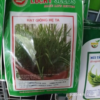 Hạt giống hẹ ta 10g