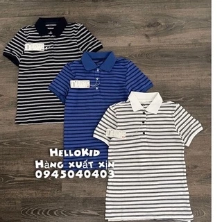 Áo thun polo cotton nữ