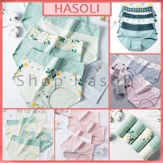 Set 5 Quần Lót Nữ Cotton Cạp Cao Combo Đủ Set Đủ Màu