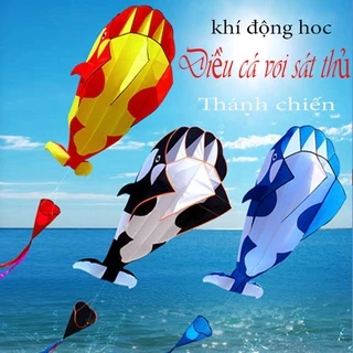 Diều cá heo, cá voi sát thủ khí động học - THUVUITUPHUONG