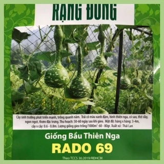 Hạt giống bầu thiên nga Rạng Đông